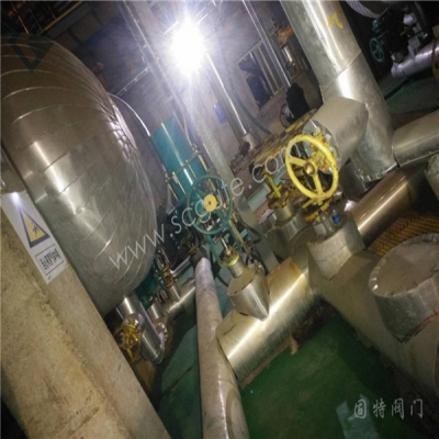 SIS and Safety Design Project of Panzhihua Xinyu Chemical liquid chlorine Tank area of Panzhihua Iron and Steel Group Pneumatic Bellows globe valve